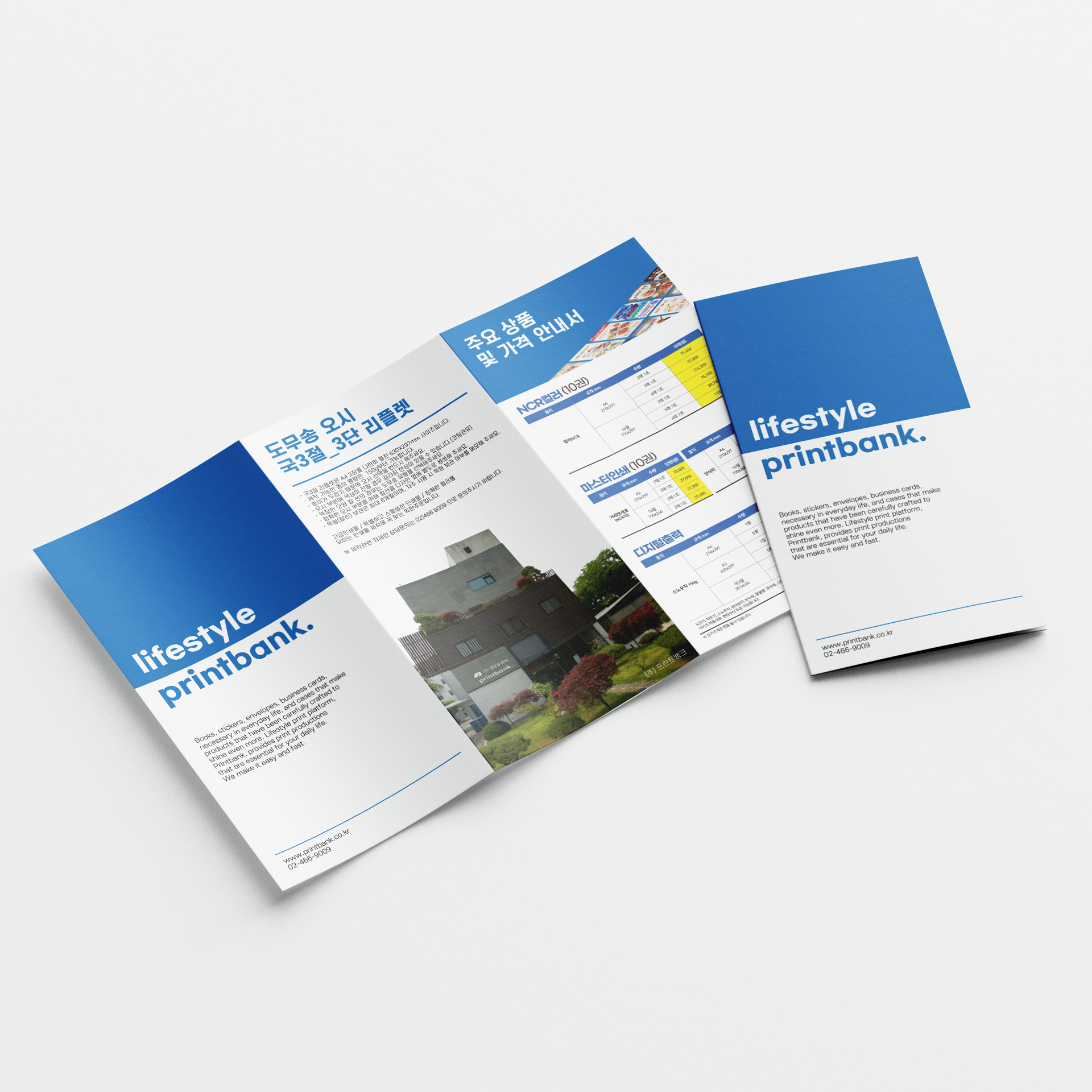 ���Ǹ��÷�(�Ϲ�)-����