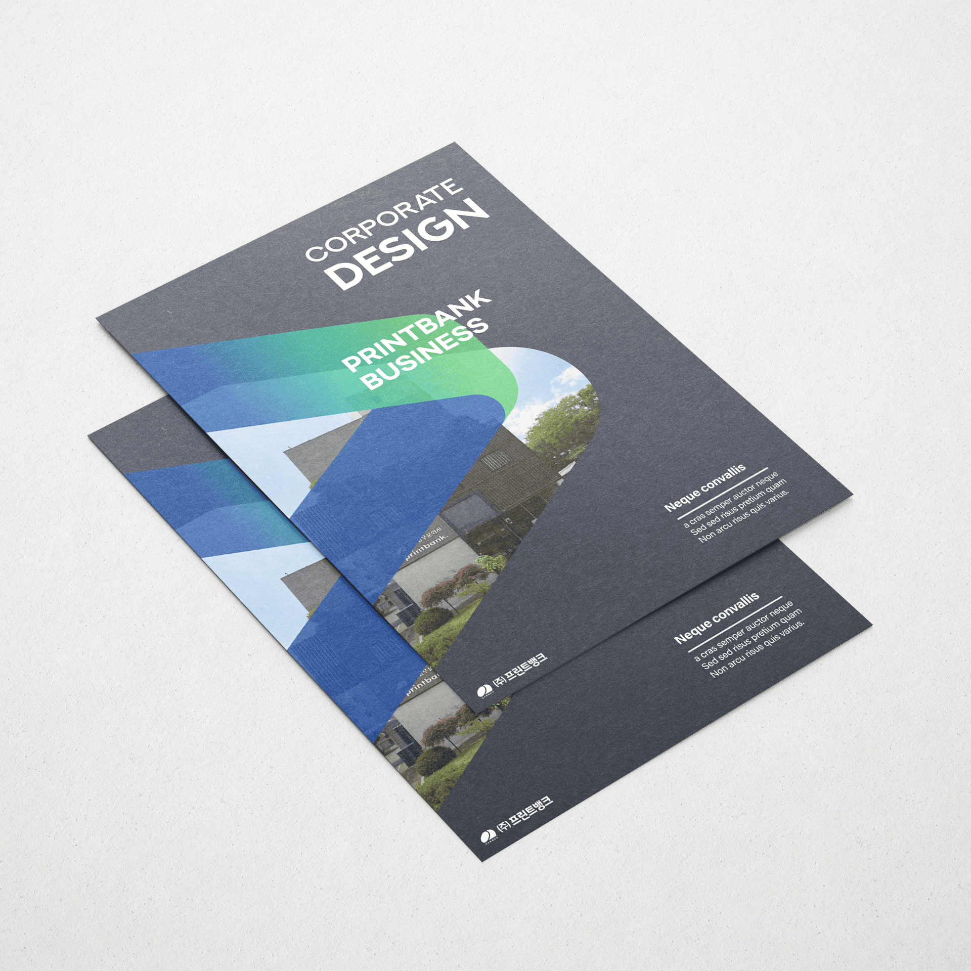 ��������(�Ϲ�)-����