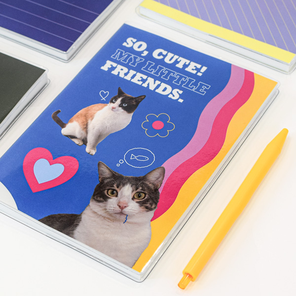 pvc Ŀ�� ���̾